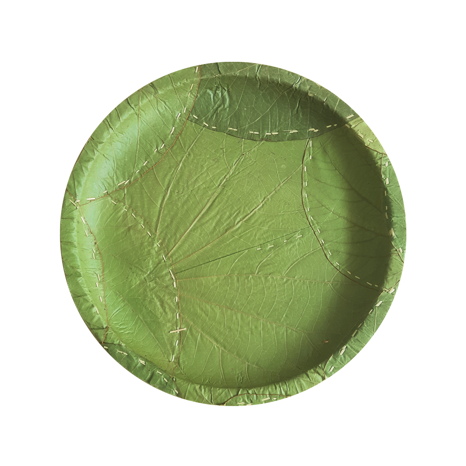 Image#1#yastugreen-sal-leaf-plate--eco-friendly-disposable-9Inch-biodegradable-dinnerware-patrawali-event-1