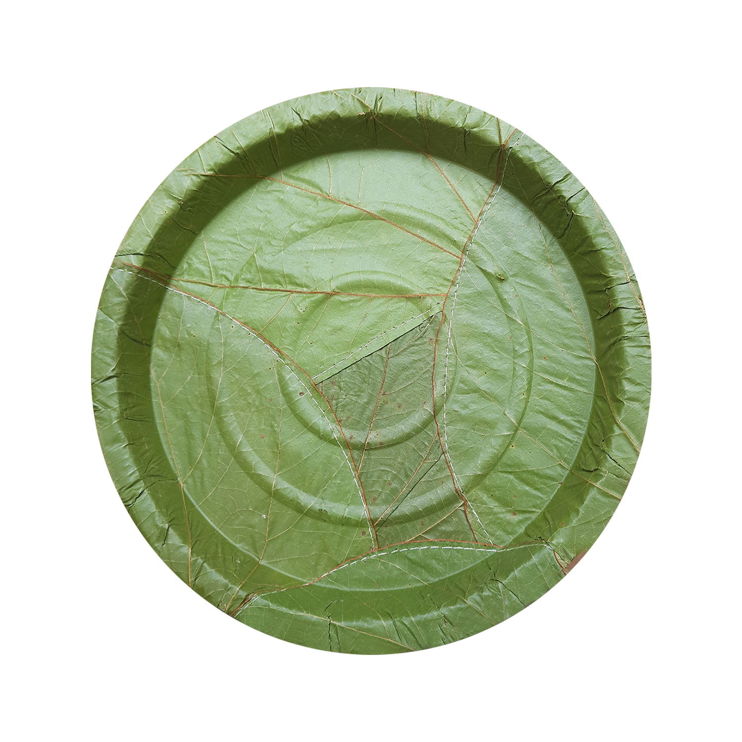 Image#1#yastugreen-sal-leaf-plate--eco-friendly-disposable-9Inch-biodegradable-dinnerware-patrawali-event-1